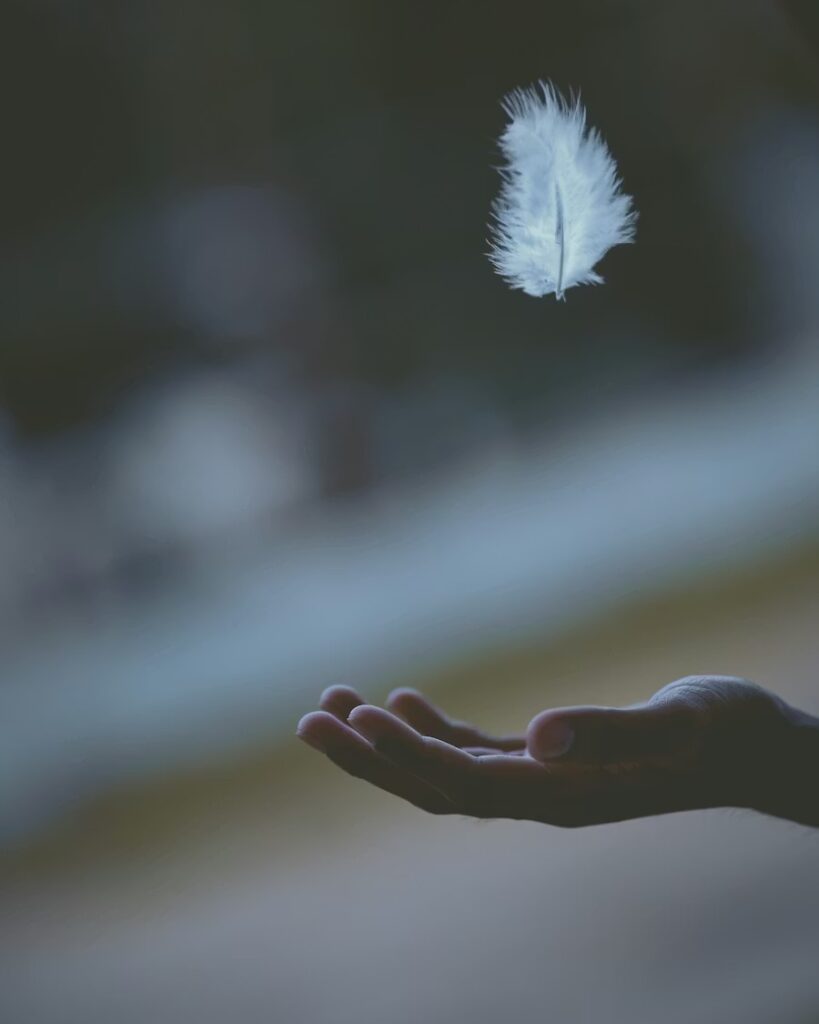 White feather gently floating toward an open hand, symbolizing emotional relief and calm after OCD therapy in New York City.